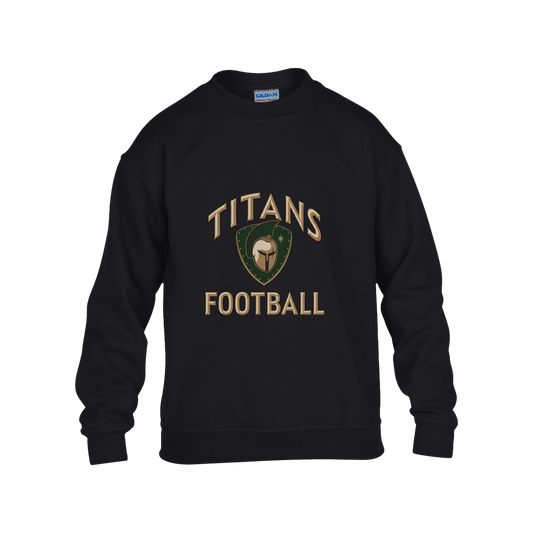 titans-tc-titans-football-basic-gildan-kids-heavy-blend-fleece-crew — Black — Front — source sha256 f025a3d3ca69c38b763fedd491ff14bbfa5222263ff151169dc32cc75c3ad133 — Color position 1